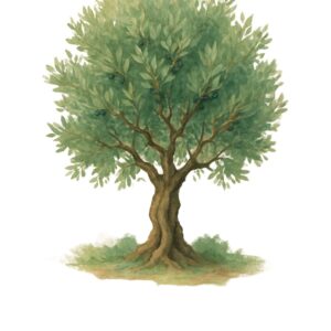 Kaarten met Bijbeltekst