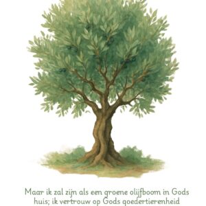 Ansichtkaart met olijfboom