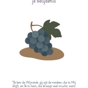 Ik ben de ware wijnstok