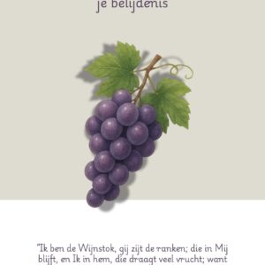 Belijdeniskaart Wijnstok