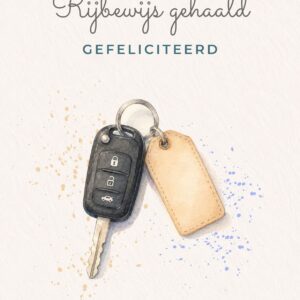 Rijbewijs gehaald