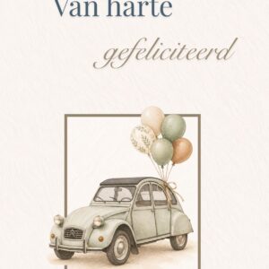 eend met ballonnen