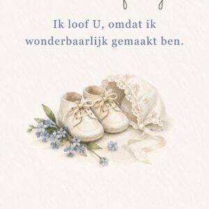 Schoentjes met mutsje